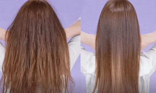 cronograma capilar universal